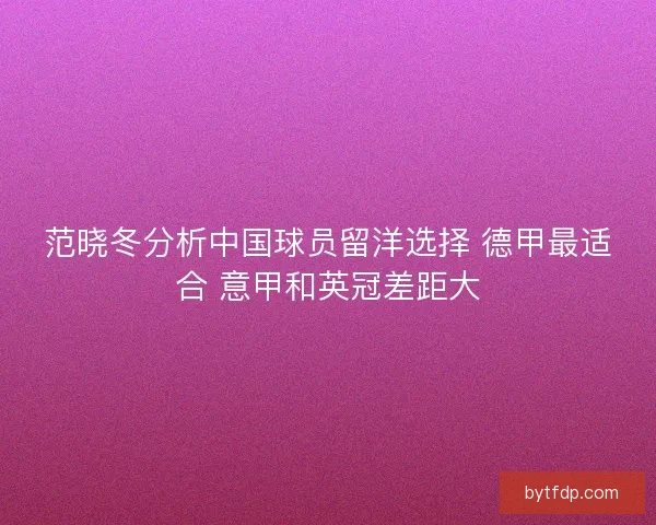 范晓冬分析中国球员留洋选择 德甲最适合 意甲和英冠差距大