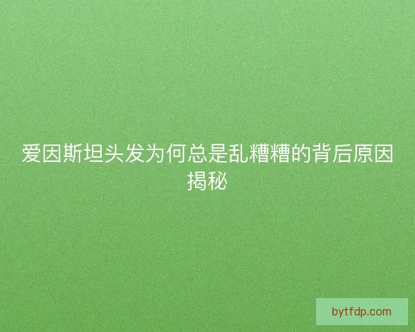 爱因斯坦头发为何总是乱糟糟的背后原因揭秘